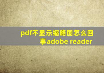 pdf不显示缩略图怎么回事adobe reader